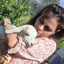 Travel for a cause