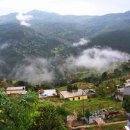 Travel for a cause