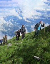 Travel for a cause