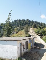 Travel for a cause