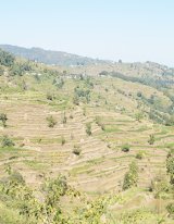 Travel for a cause